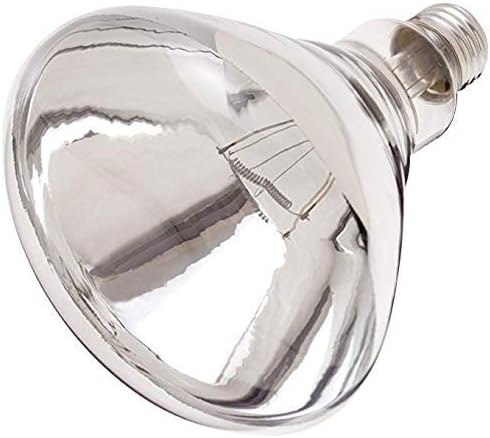 120V 125W Heat Bulb Clear Hard