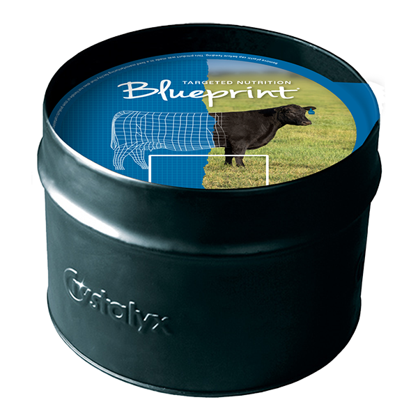 Crystalyx Blueprint 6% Phos with ClariFly