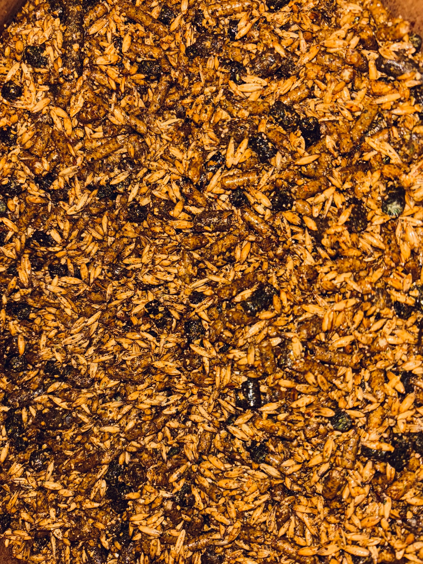 CCFS Working Senior Horse Feed - 40#