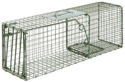 HD Medium Cage Trap