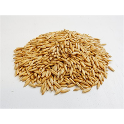 Bagged Whole Oats