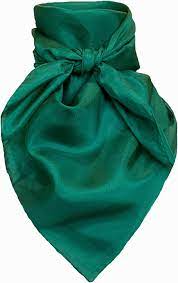 42" solid forest silk scarf