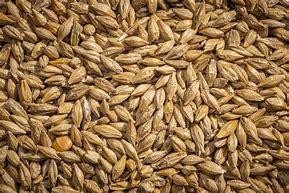 Whole Barley