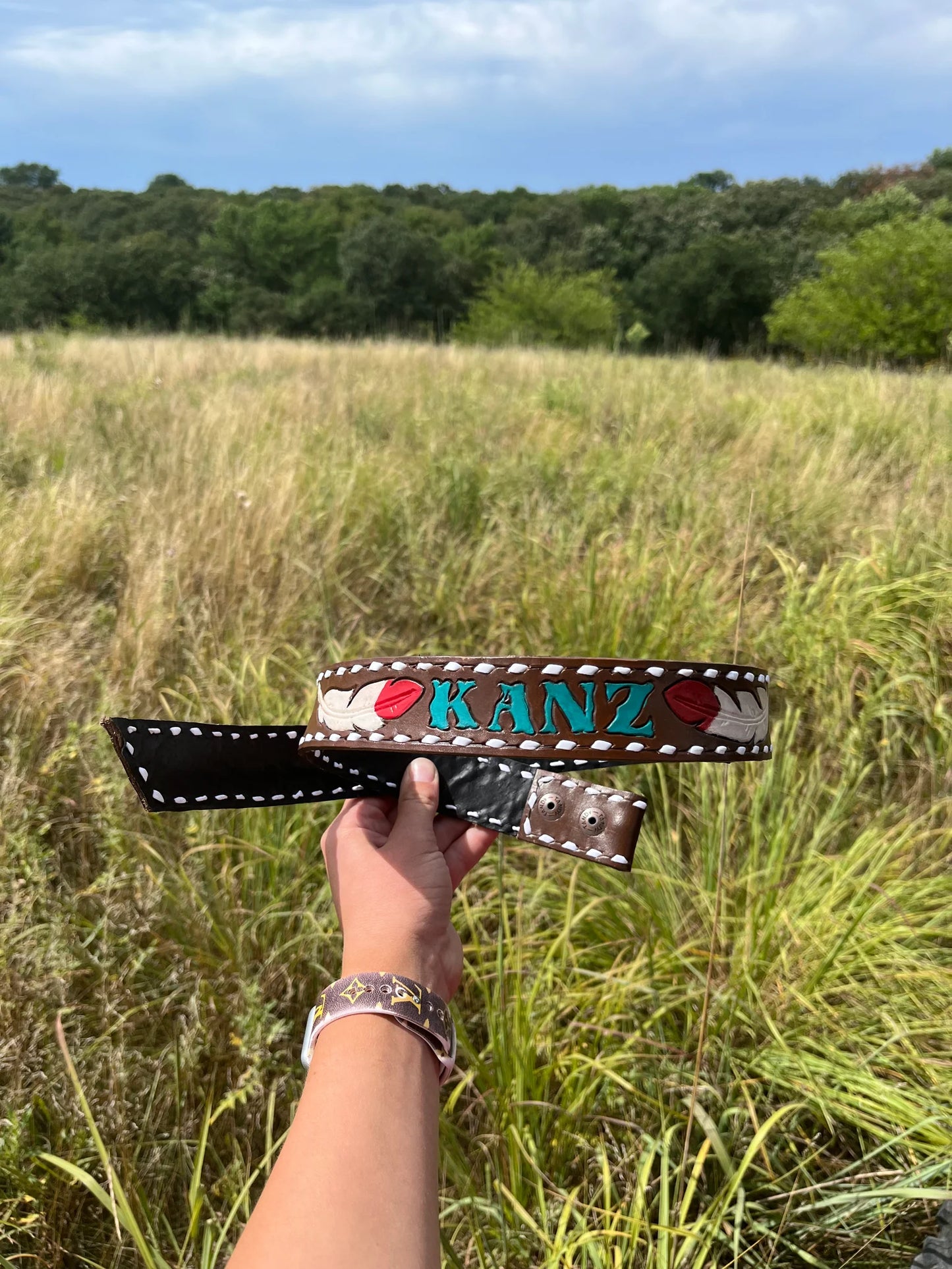 Belt Sample
