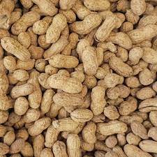 In-Shell Peanuts 25lb