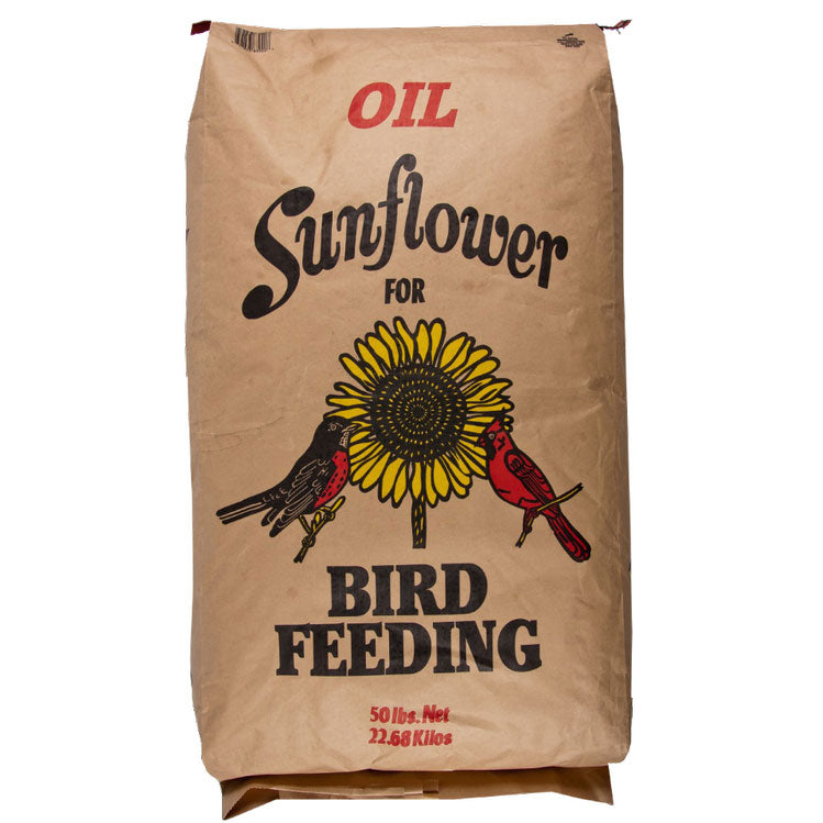 Black Oil Sunflower