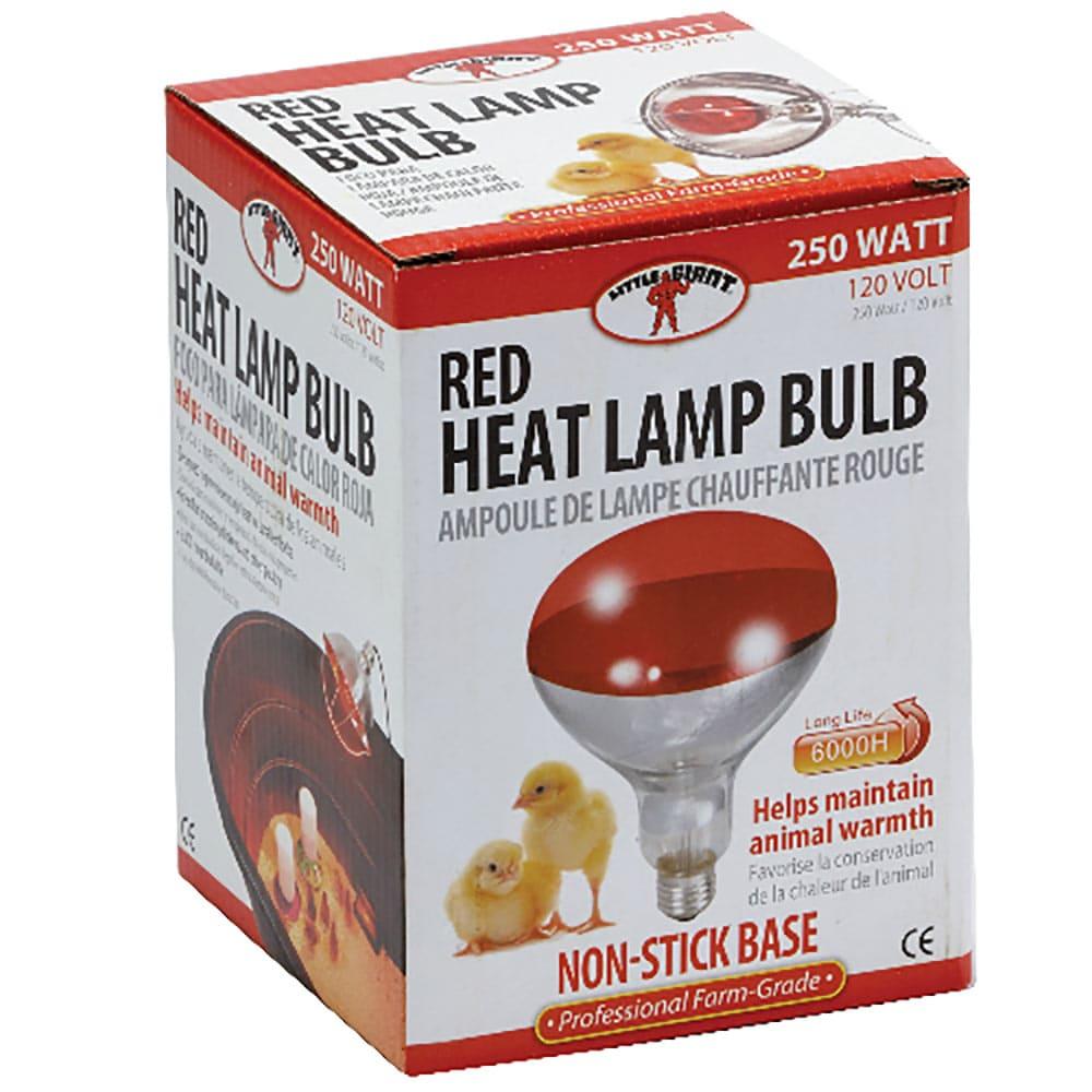 Red Heat Lamp Bulb