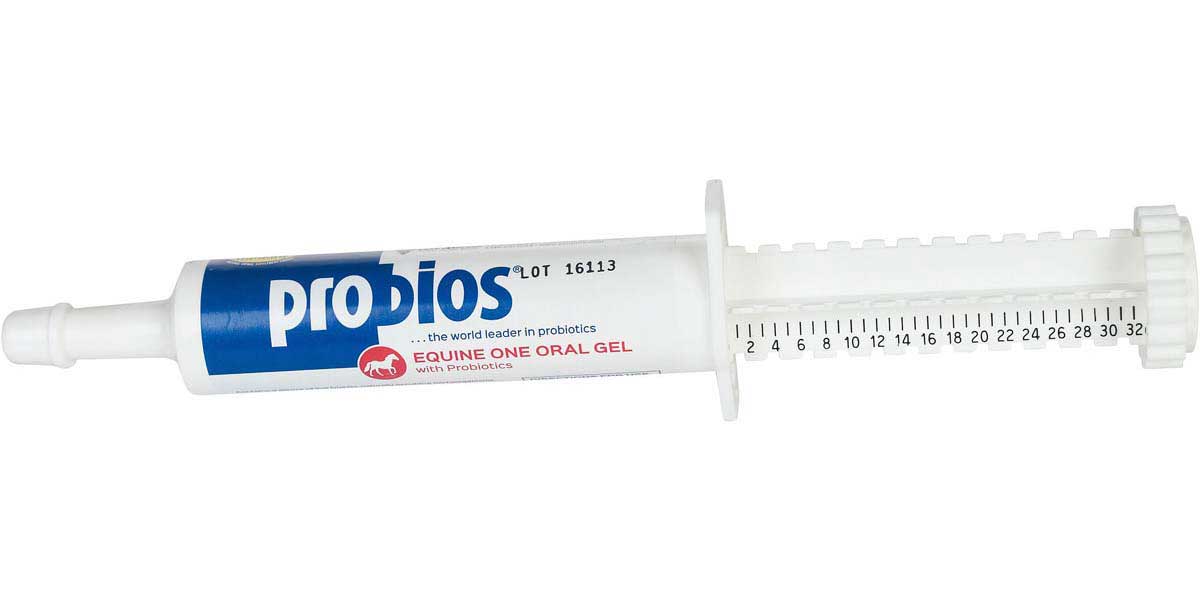 Probios Equine One Oral Gel