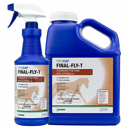 Final Fly-T