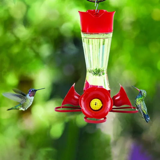 Pinch-Waist Glass Hummingbird Feeder