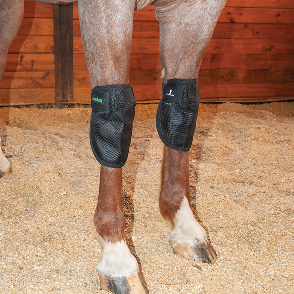 Mag-NTX Knee Wrap