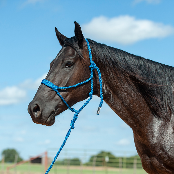 Mule Tape Halter