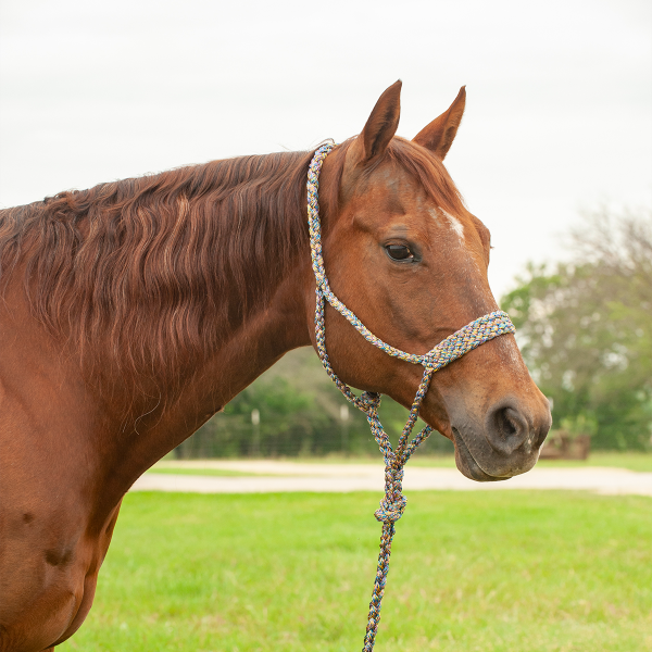 Mule Tape Halter
