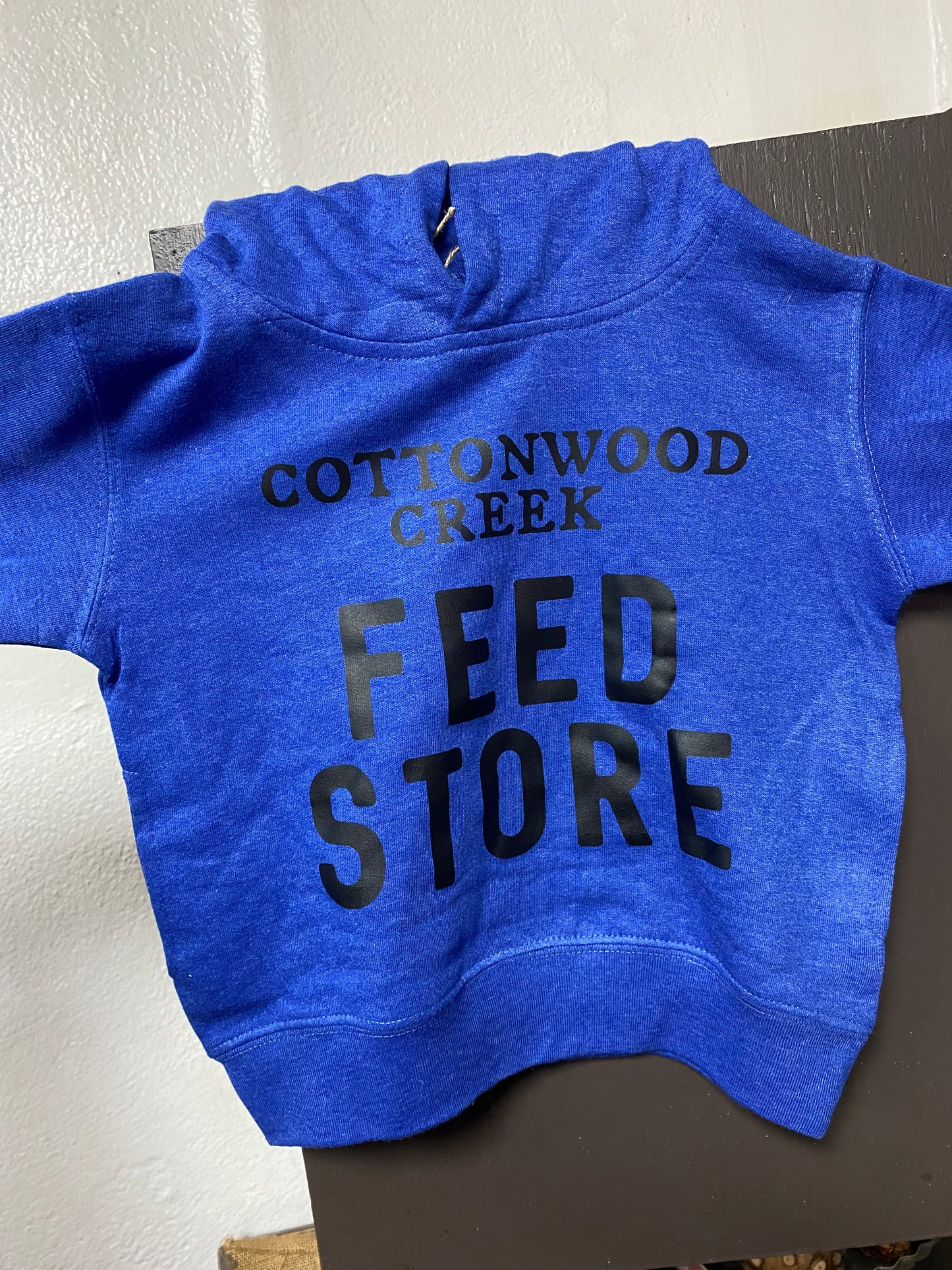 Blue Toddler Hoodie