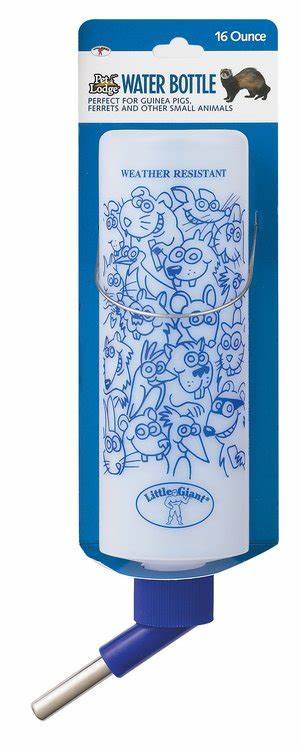 16 oz Water Bottle