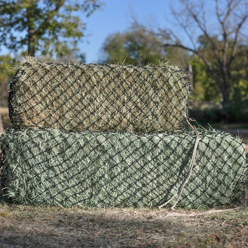 Hay Chix West Coast Net 1 3/4" Original