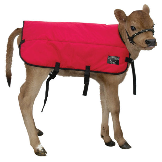 Calf Blanket- Small