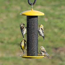 Finch Feeder