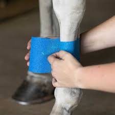 FlexWrap Wound Wrap