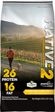 Native Level 2 Dog Food