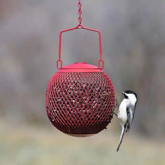 Wild Bird Red Seed Ball