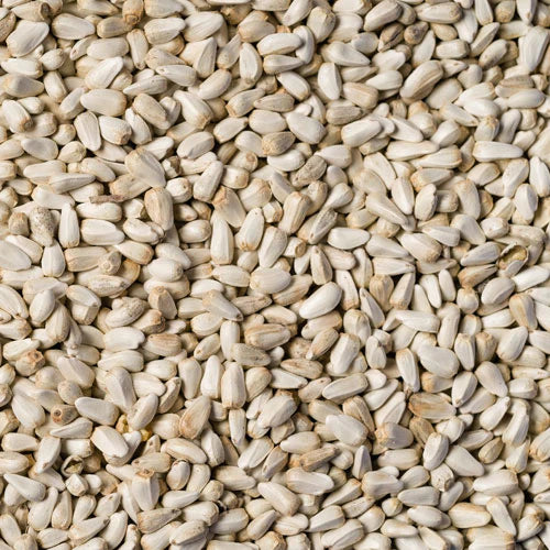 Safflower Seed 50lb