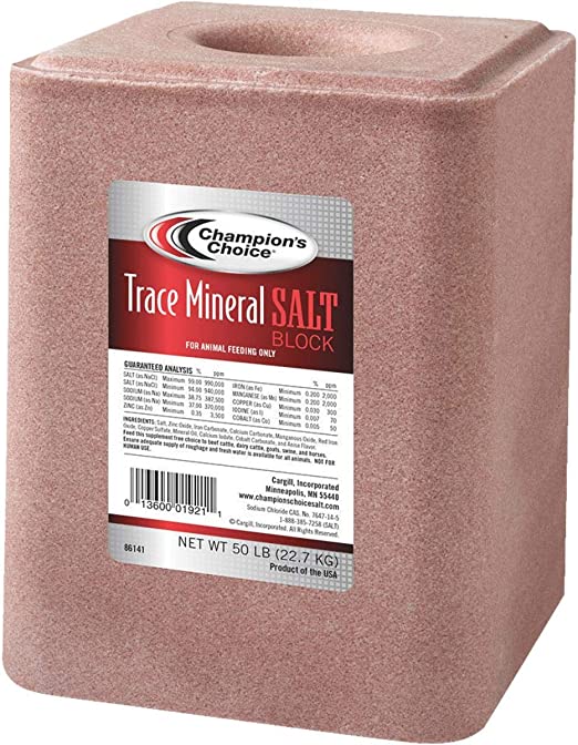 Trace Mineral Salt Block