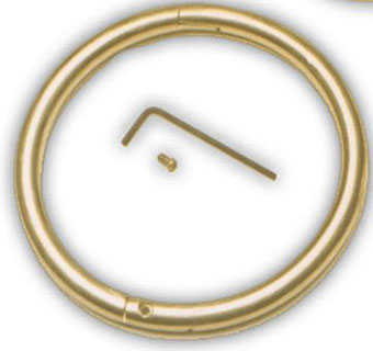 Bull Brass Nose Ring 3"x 5/16"