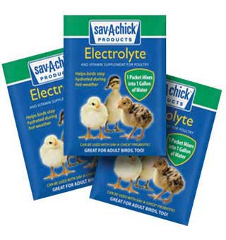 Sav A Chick Electrolyte