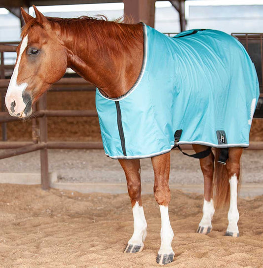 Stable Sheet-Turquoise