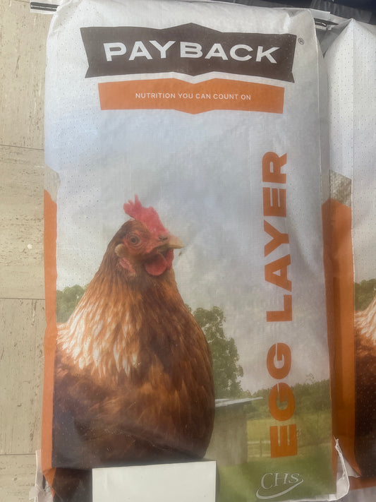 Payback Egg Layer Ration