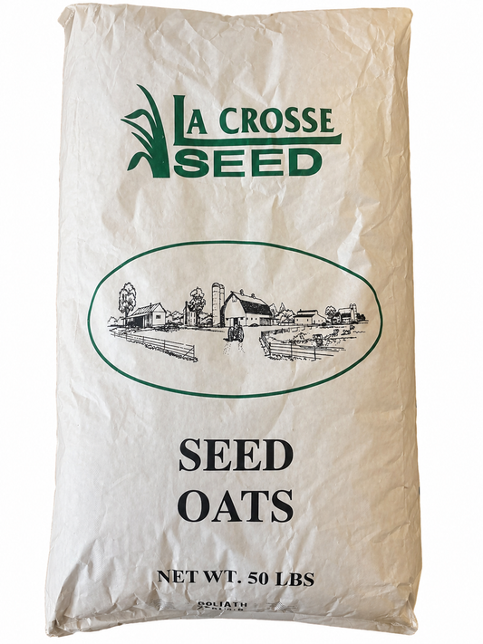 Seed Oats - Goliath