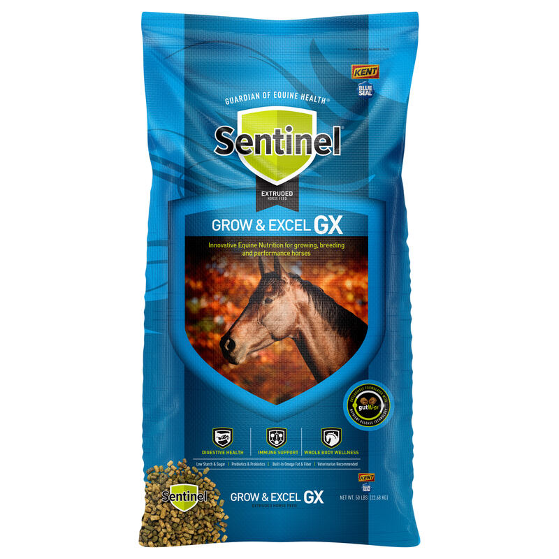 Sentinel Grow & Excel