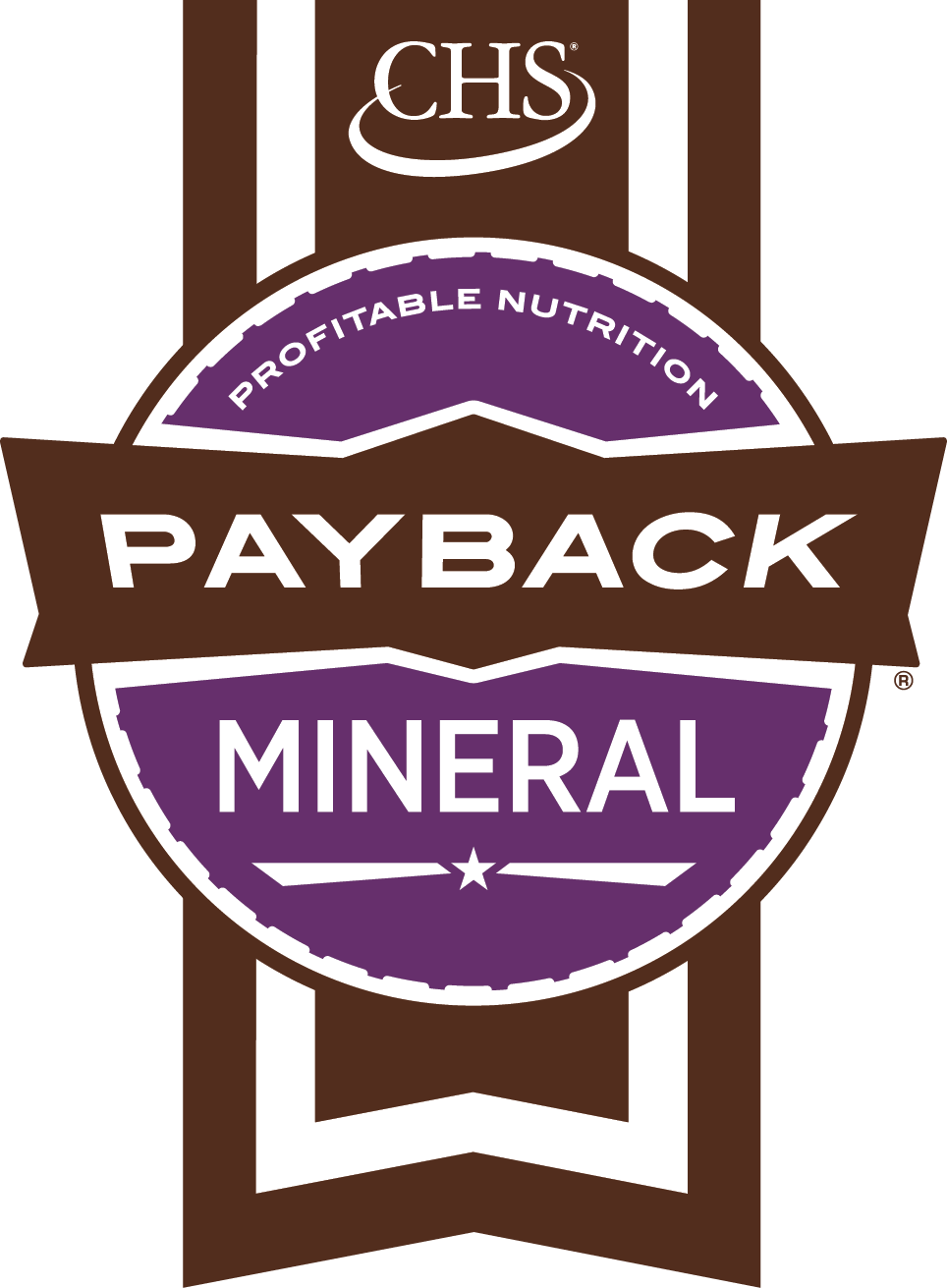 Payback 12-6 Cattle Mineral