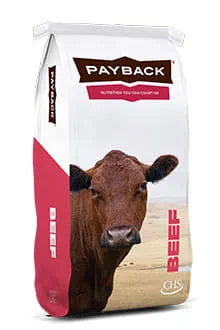 Payback Heifer Blend H-2.0