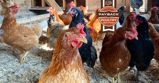 Payback All Purpose Poultry