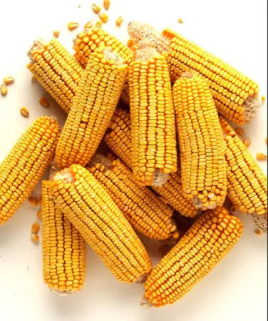 Cob Corn 20LB-Cob Corn : 20 lb