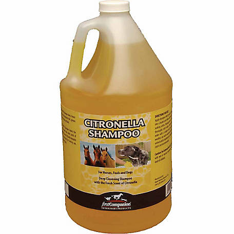 Citronella shampoo for dogs best sale