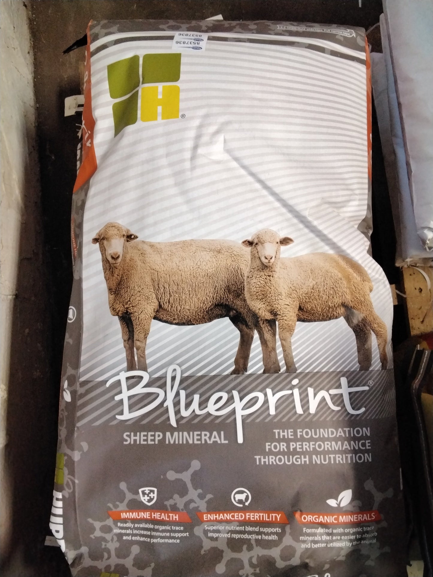 Blueprint Sheep Mineral
