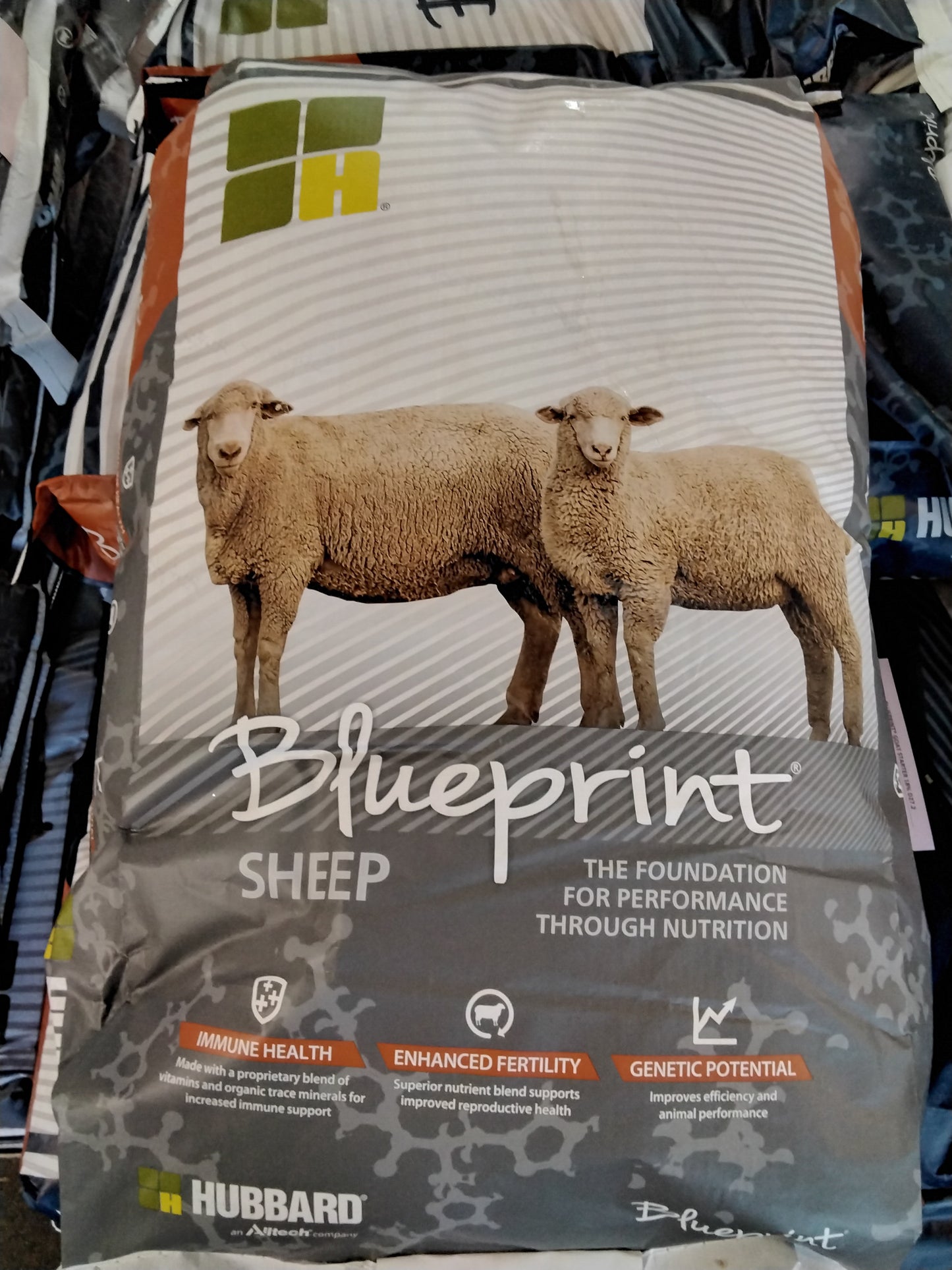 Blueprint Sheep Supplement 37% B150