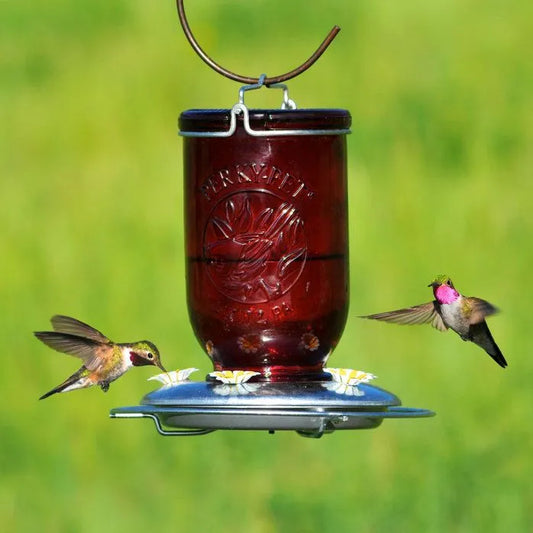 Red Mason Jar Hummingbird Feeder