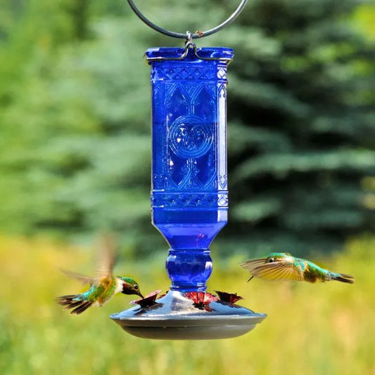 Cobalt Blue Square Antique Glass Bottle Hummingbird Feeder