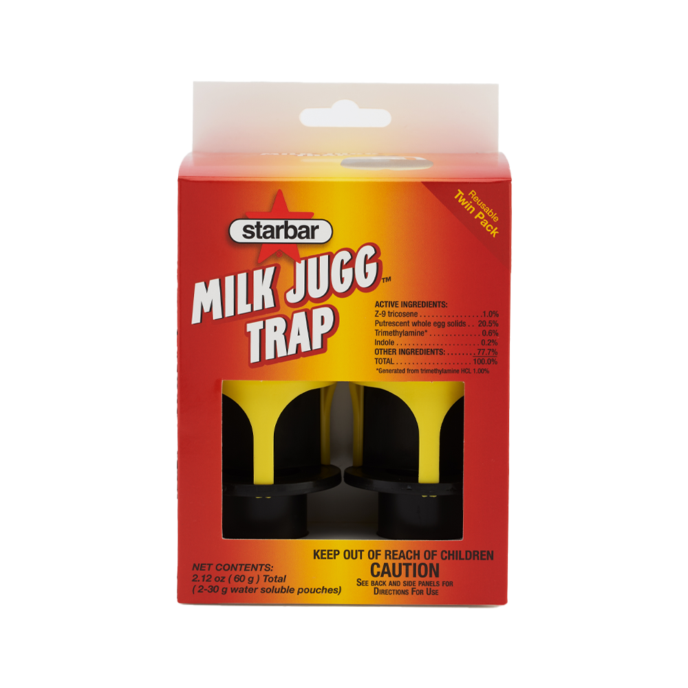 Milk Jugg Trap