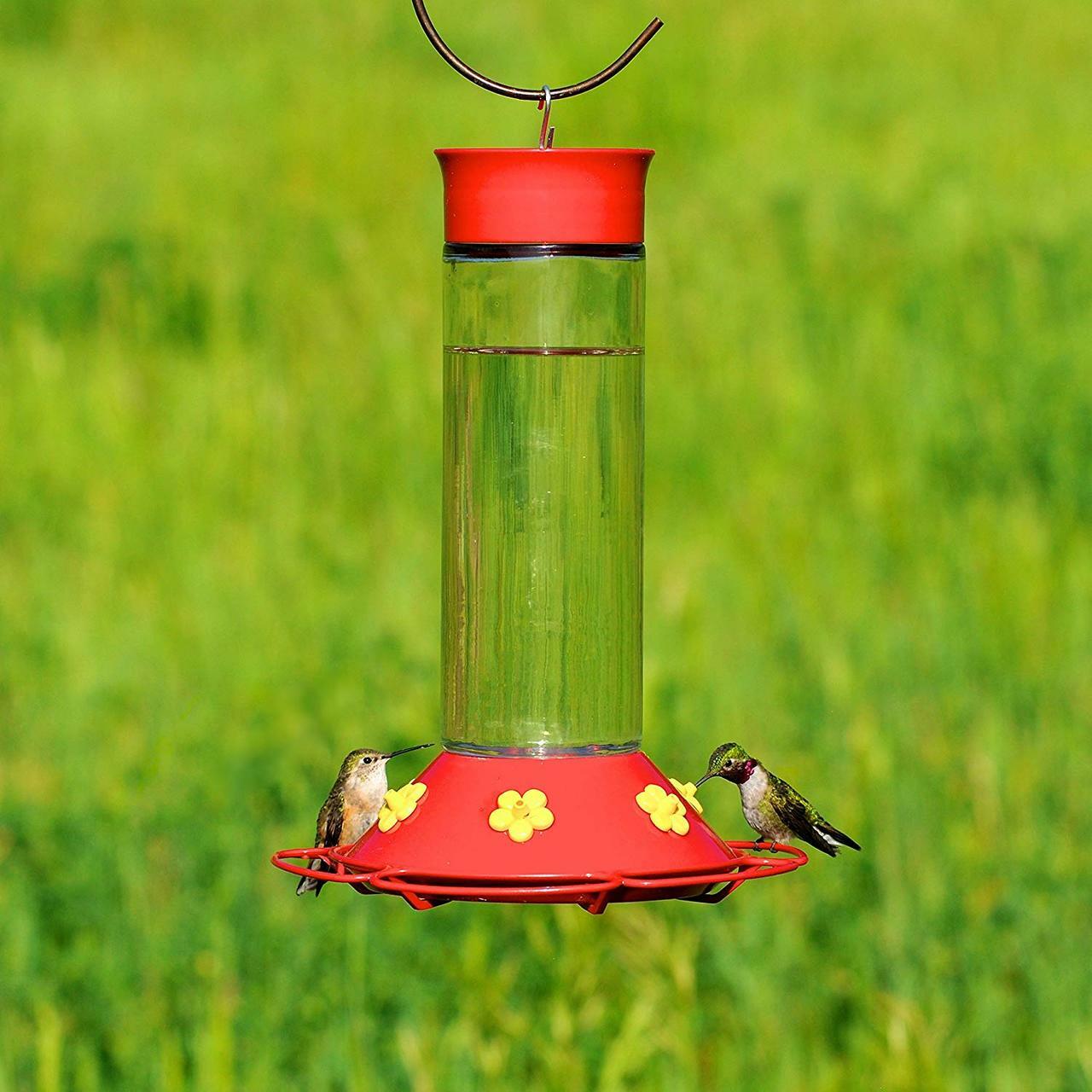 Our Best Glass Hummingbird Feeder