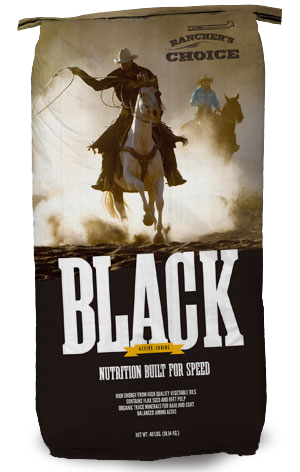 Rancher's Choice Black Horse