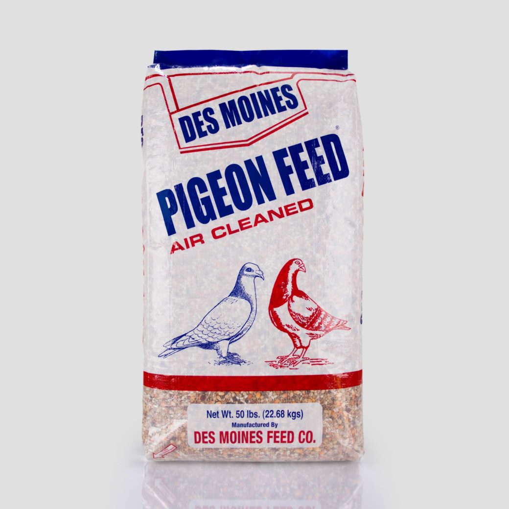 Des Moines Pigeon Feed No Corn