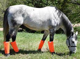 Shoofly Horse Leggings